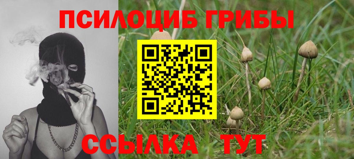 Галлюциногенные грибы GOLDEN TEACHER Советская Гавань