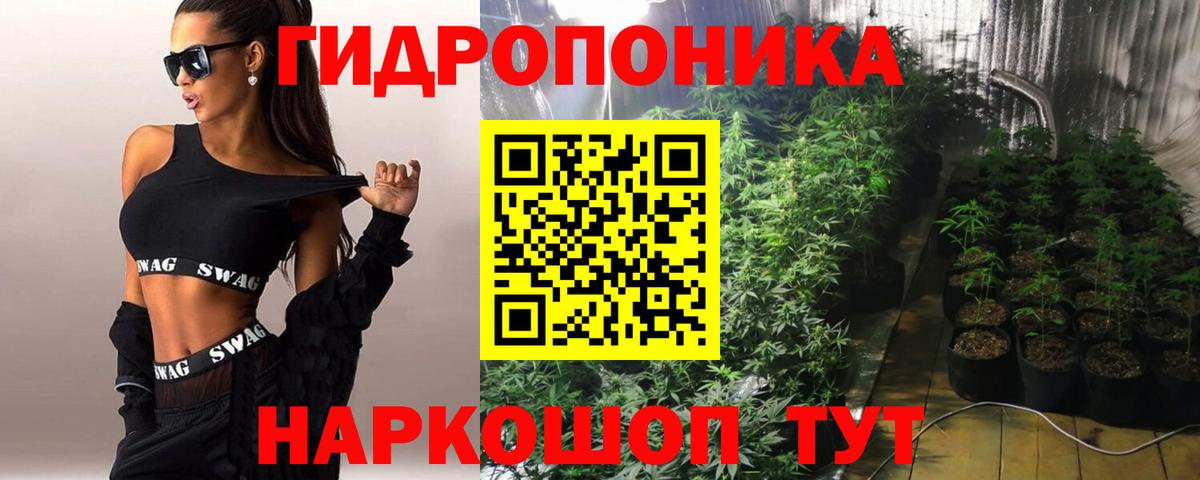 Бошки марихуана марихуана  Вход с VPN  Канабис тримм  Советская Гавань 